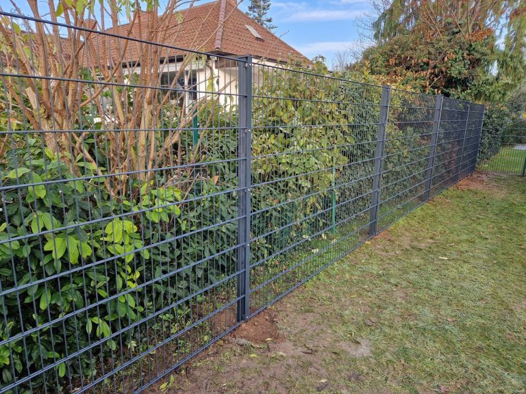 Doppelstabmattenzaun als Grundstücksgrenze, in eine Hecke eingewachsen